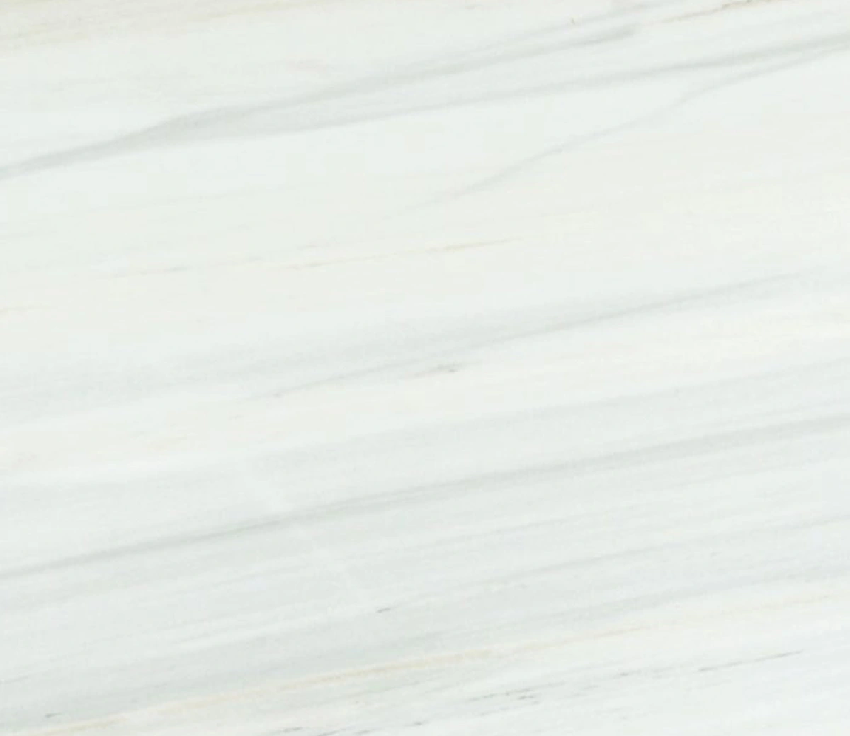 Vietnam Lasa White Slab